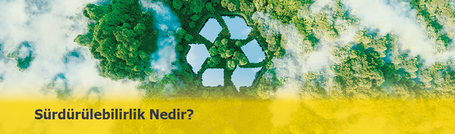 Sürdürülebilirlik Nedir? Sürdürülebilirlik İlkeleri ve 2025 Yönetmelikleri Nelerdir?